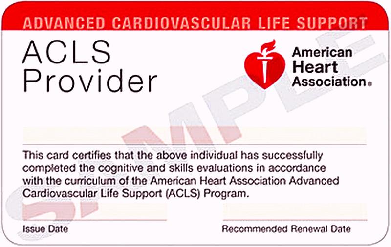 Need CPR Certification in Maryland This Year. : Master Life-Saving Skills with Our Local CPR Classes