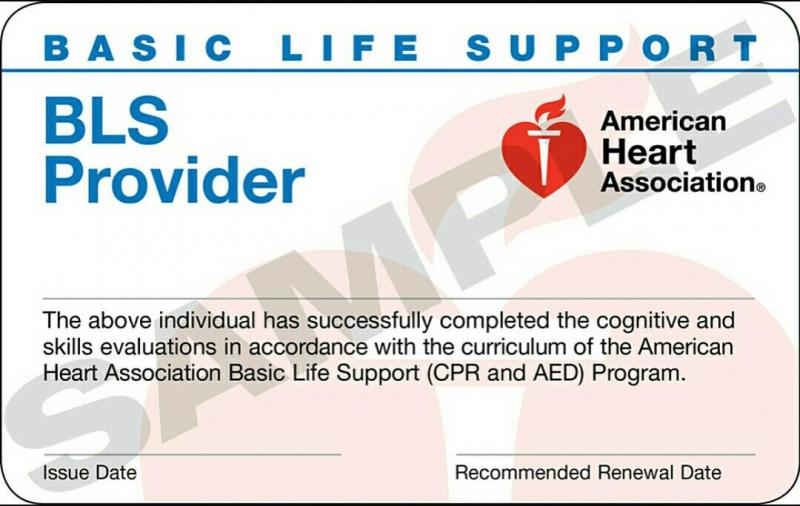 Need CPR Certification in Maryland This Year. : Master Life-Saving Skills with Our Local CPR Classes