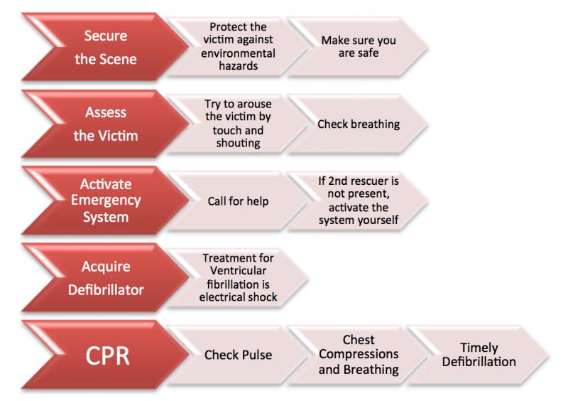 Need CPR Certification in Maryland This Year. : Master Life-Saving Skills with Our Local CPR Classes