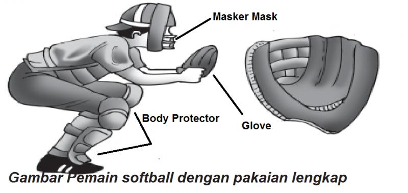 Need Extra Padding For Your Softball Helmet. Arm Yourself With These Essential Upgrades