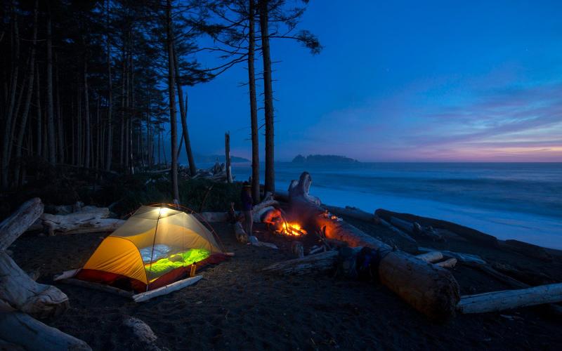 Need More Room for the Whole Crew. : The Best 8 Person Tents for Group Camping