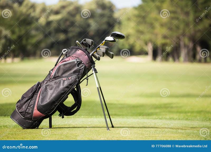 Need New Golf Clubs This Year. Discover All the Essential Clubs For Your Bag