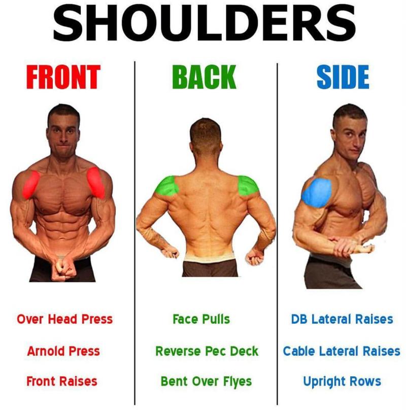 Need New Lacrosse Shoulder Pads This Season. Find The Perfect Fit With These Tips