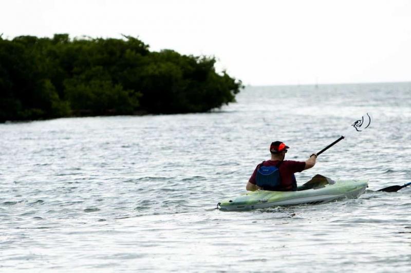 Need New Paddles for Your Pelican Kayak. Here are 15 Must-Know Tips for Choosing the Best Oars in 2023