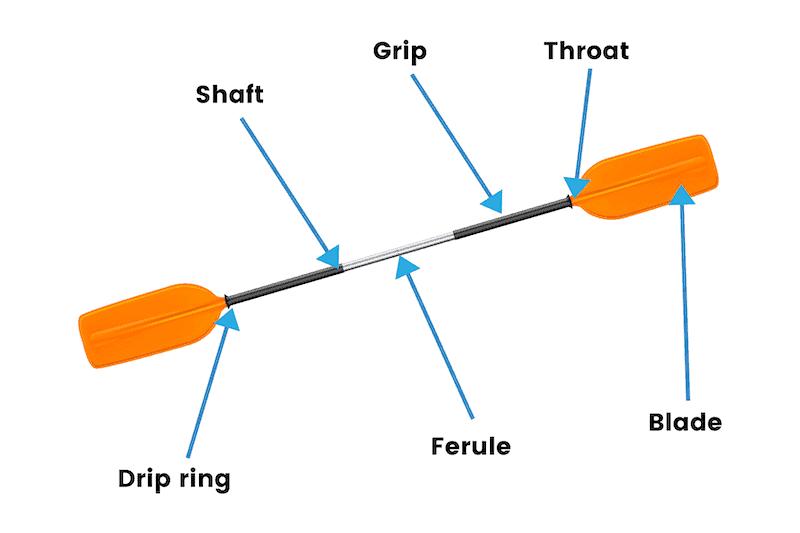 Need New Paddles for Your Pelican Kayak. Here are 15 Must-Know Tips for Choosing the Best Oars in 2023