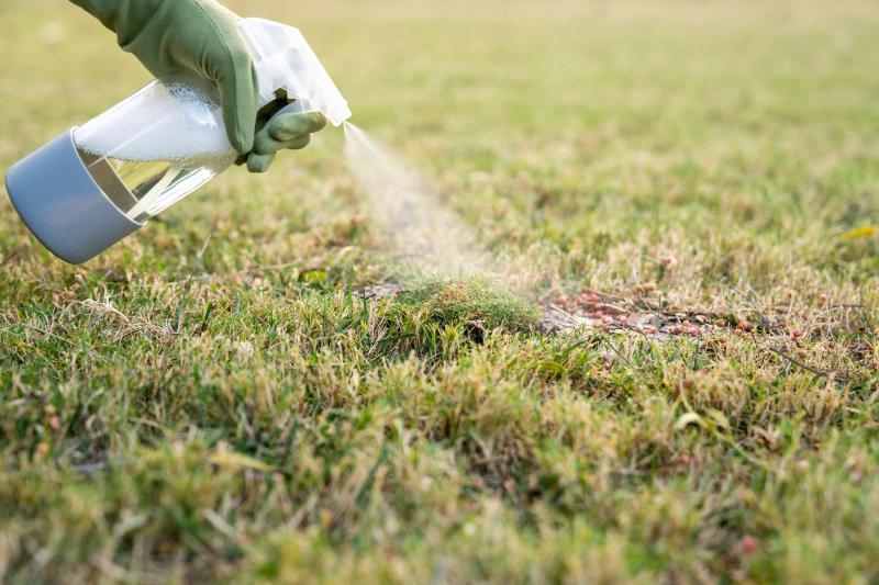 Need Perfect Grass in La Crosse: 15 Tips from Local Pros for Lawn Care Success