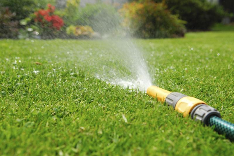 Need Perfect Grass in La Crosse: 15 Tips from Local Pros for Lawn Care Success