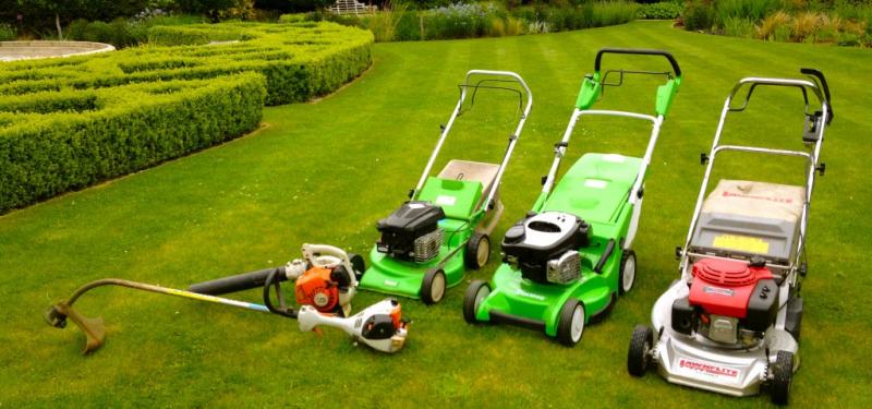 Need Perfect Grass in La Crosse: 15 Tips from Local Pros for Lawn Care Success