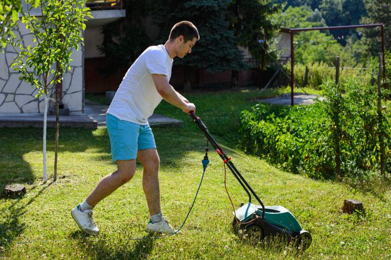 Need Perfect Grass in La Crosse: 15 Tips from Local Pros for Lawn Care Success