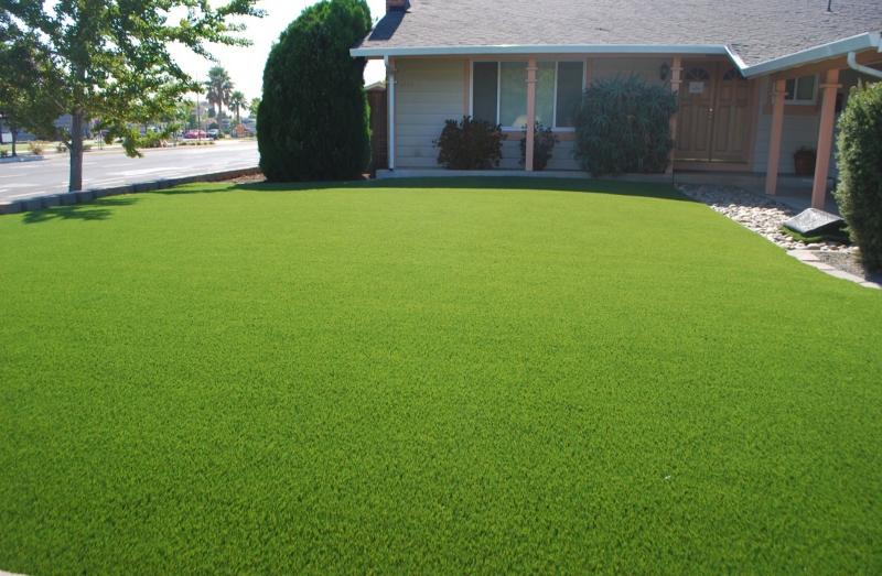 Need Perfect Grass in La Crosse: 15 Tips from Local Pros for Lawn Care Success