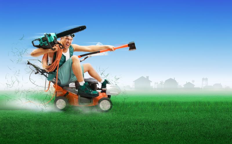 Need Perfect Grass in La Crosse: 15 Tips from Local Pros for Lawn Care Success