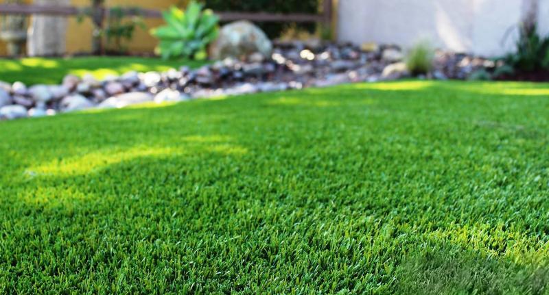 Need Perfect Grass in La Crosse: 15 Tips from Local Pros for Lawn Care Success