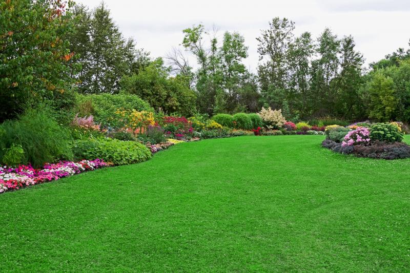 Need Perfect Grass in La Crosse: 15 Tips from Local Pros for Lawn Care Success