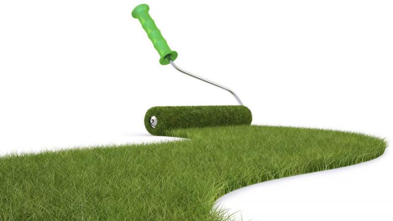 Need Perfect Grass in La Crosse: 15 Tips from Local Pros for Lawn Care Success