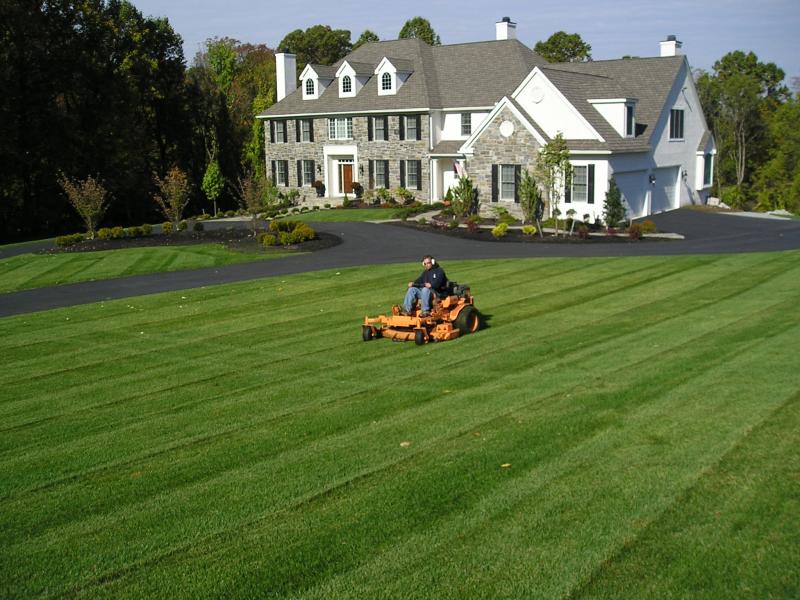 Need Perfect Grass in La Crosse: 15 Tips from Local Pros for Lawn Care Success