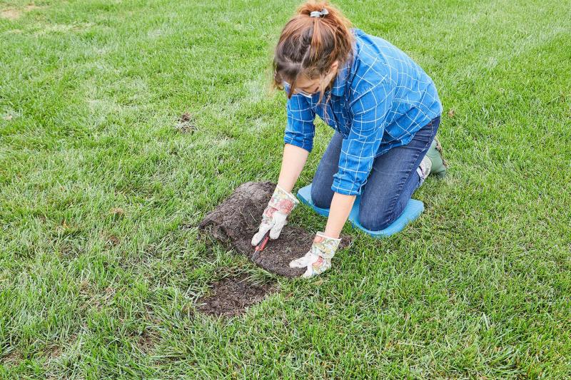 Need Perfect Grass in La Crosse: 15 Tips from Local Pros for Lawn Care Success