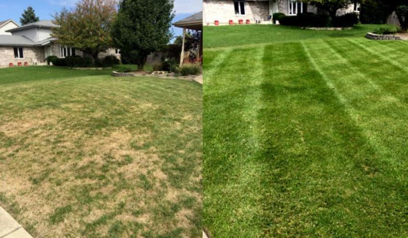 Need Perfect Grass in La Crosse: 15 Tips from Local Pros for Lawn Care Success