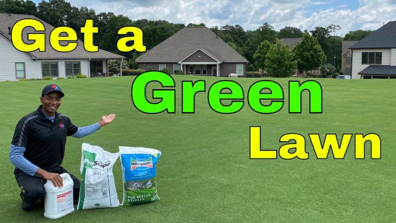 Need Perfect Grass in La Crosse: 15 Tips from Local Pros for Lawn Care Success