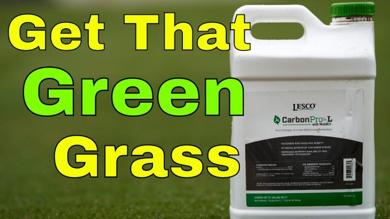 Need Perfect Grass in La Crosse: 15 Tips from Local Pros for Lawn Care Success