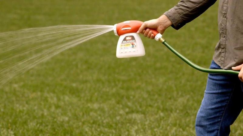 Need Perfect Grass in La Crosse: 15 Tips from Local Pros for Lawn Care Success