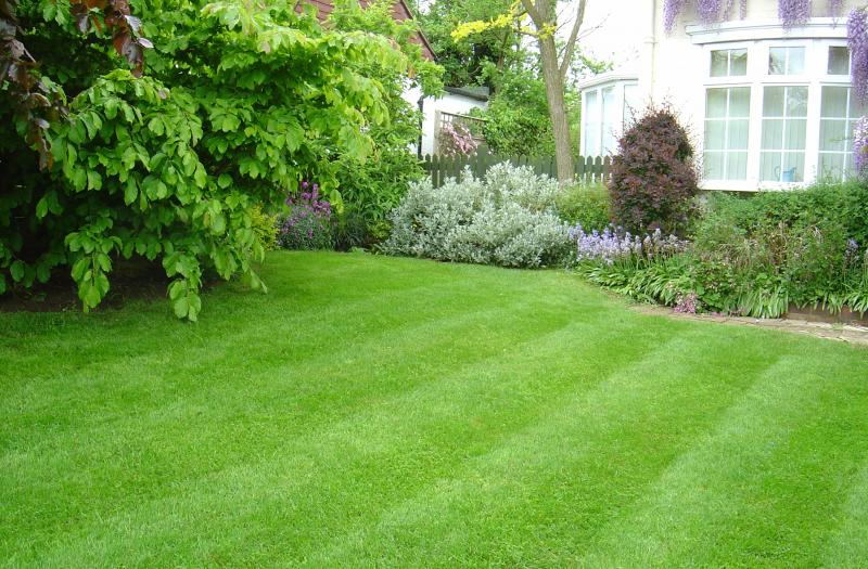 Need Perfect Grass in La Crosse: 15 Tips from Local Pros for Lawn Care Success