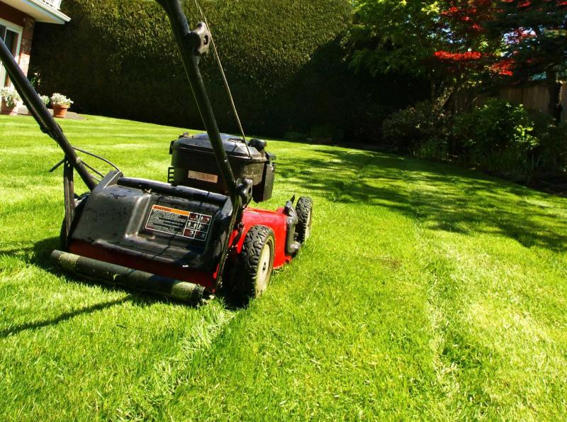 Need Perfect Grass in La Crosse: 15 Tips from Local Pros for Lawn Care Success