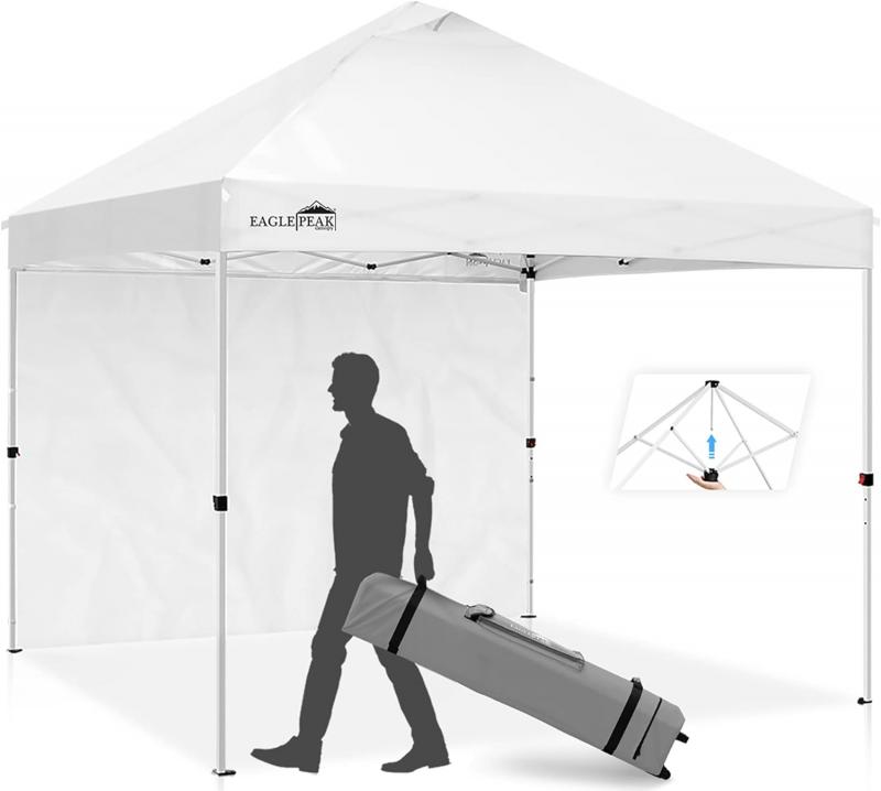 Need Shade Fast This Summer. Consider the Ez Up Patriot 10x10 Canopy