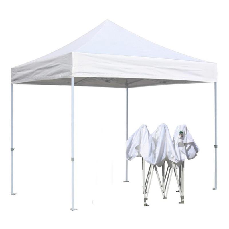 Need Shade Fast This Summer. Consider the Ez Up Patriot 10x10 Canopy