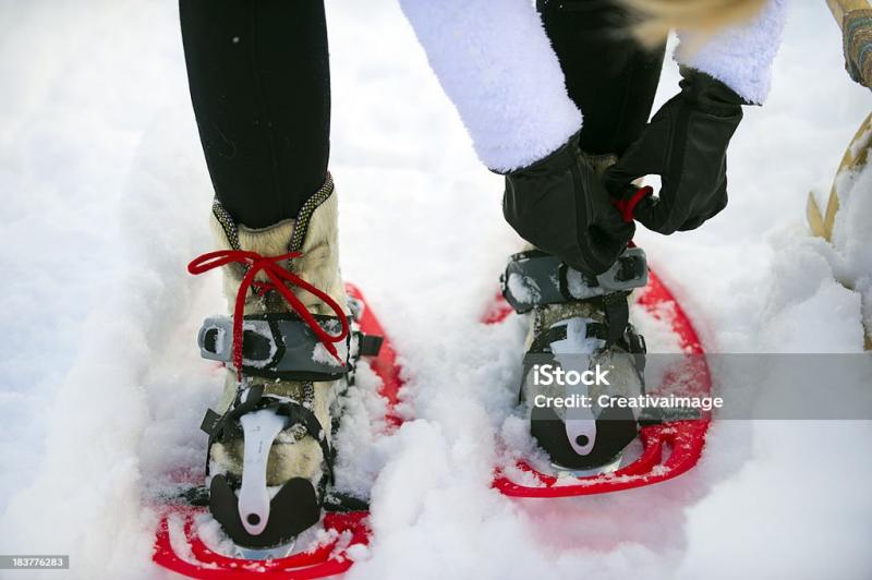 Need Snowshoes This Winter. : The 15 Best Adult Snowshoes You Can Buy Right Now