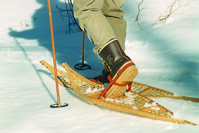 Need Snowshoes This Winter. : The 15 Best Adult Snowshoes You Can Buy Right Now