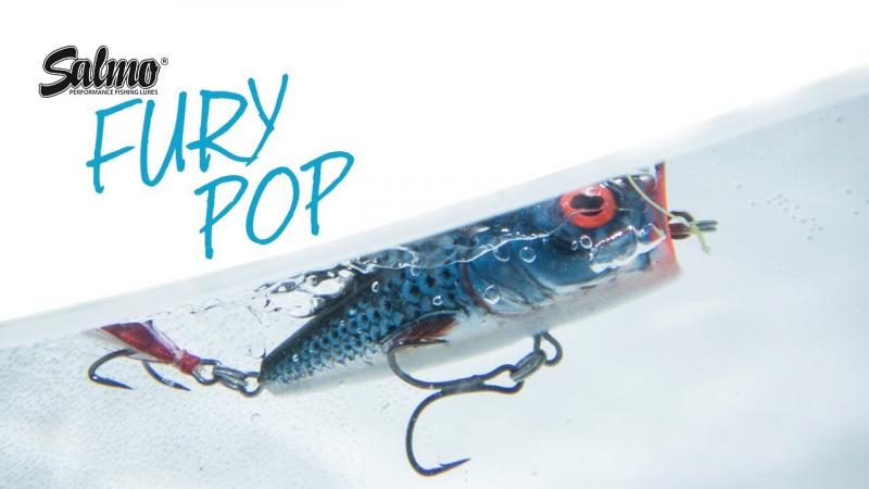 Need The Best Bass Kit This Year. Discover The Top Bass Fishing Lures That Will Help You Reel In More Fish