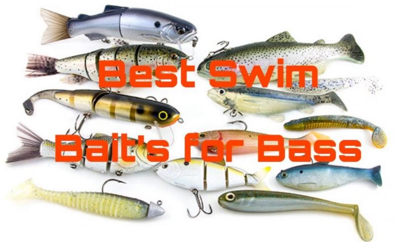 Need The Best Bass Kit This Year. Discover The Top Bass Fishing Lures That Will Help You Reel In More Fish