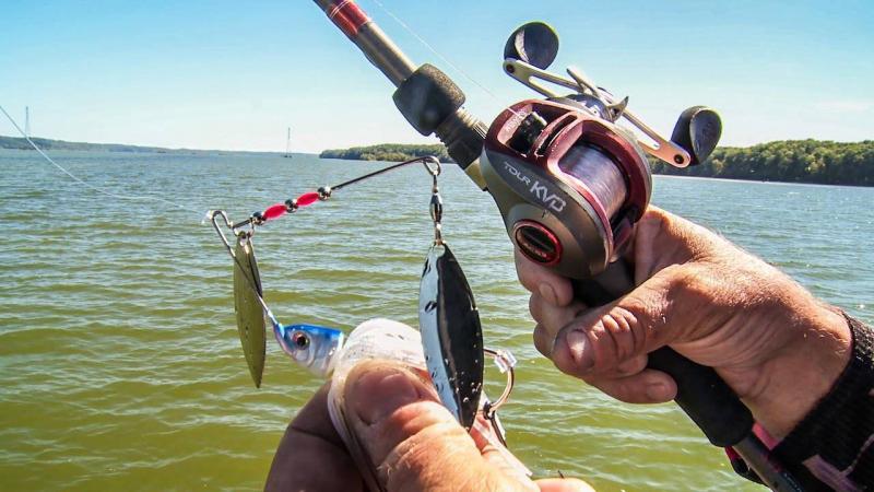 Need The Best Bass Kit This Year. Discover The Top Bass Fishing Lures That Will Help You Reel In More Fish