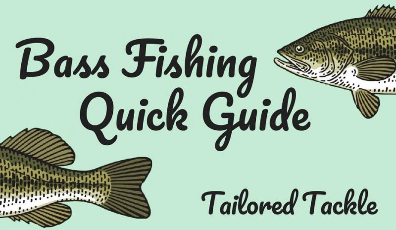 Need The Best Bass Kit This Year. Discover The Top Bass Fishing Lures That Will Help You Reel In More Fish