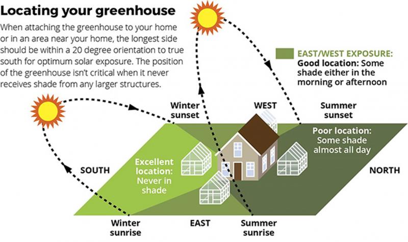 Need the Perfect Greenhouse Conditions. Discover the Secrets to Conquering Your Greenhouse Weather