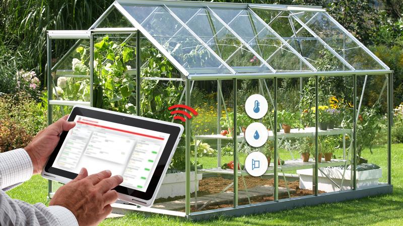 Need the Perfect Greenhouse Conditions. Discover the Secrets to Conquering Your Greenhouse Weather