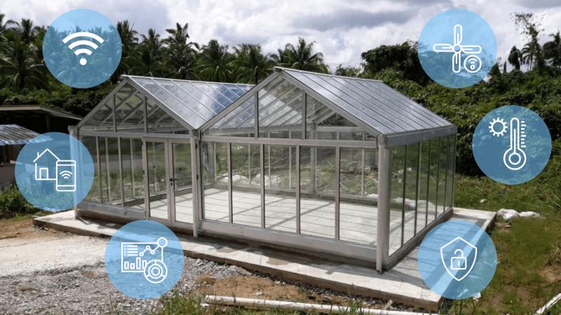 Need the Perfect Greenhouse Conditions. Discover the Secrets to Conquering Your Greenhouse Weather