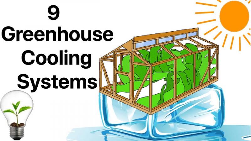 Need the Perfect Greenhouse Conditions. Discover the Secrets to Conquering Your Greenhouse Weather