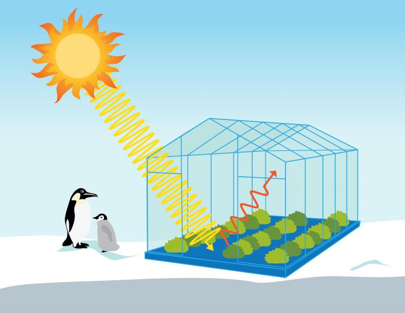 Need the Perfect Greenhouse Conditions. Discover the Secrets to Conquering Your Greenhouse Weather