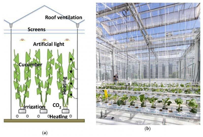 Need the Perfect Greenhouse Conditions. Discover the Secrets to Conquering Your Greenhouse Weather