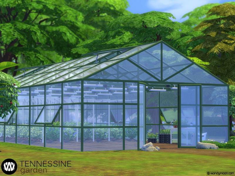 Need the Perfect Greenhouse Conditions. Discover the Secrets to Conquering Your Greenhouse Weather