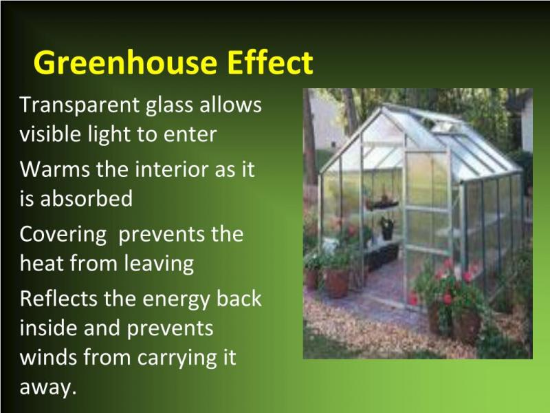 Need the Perfect Greenhouse Conditions. Discover the Secrets to Conquering Your Greenhouse Weather