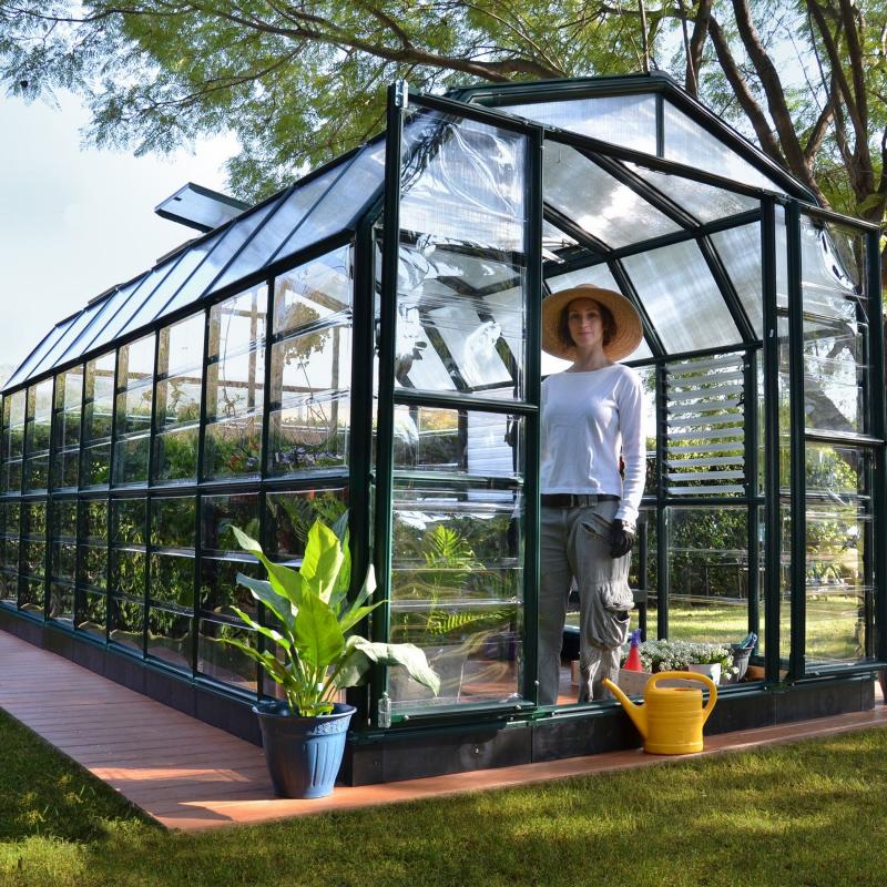 Need the Perfect Greenhouse Conditions. Discover the Secrets to Conquering Your Greenhouse Weather