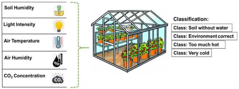 Need the Perfect Greenhouse Conditions. Discover the Secrets to Conquering Your Greenhouse Weather