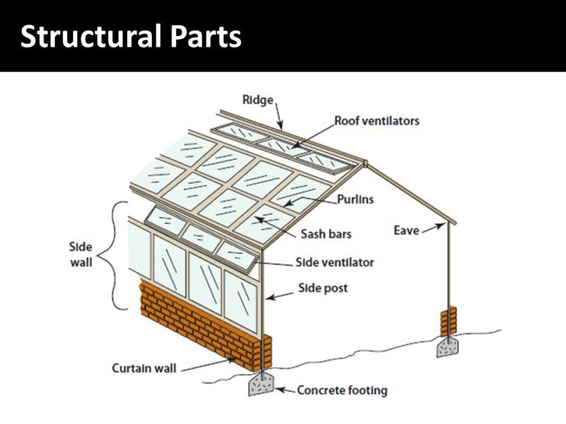 Need the Perfect Greenhouse Conditions. Discover the Secrets to Conquering Your Greenhouse Weather