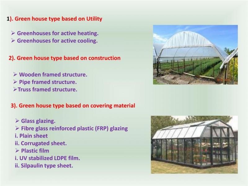 Need the Perfect Greenhouse Conditions. Discover the Secrets to Conquering Your Greenhouse Weather