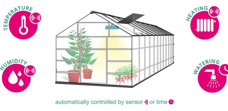 Need the Perfect Greenhouse Conditions. Discover the Secrets to Conquering Your Greenhouse Weather