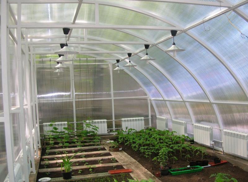 Need the Perfect Greenhouse Conditions. Discover the Secrets to Conquering Your Greenhouse Weather