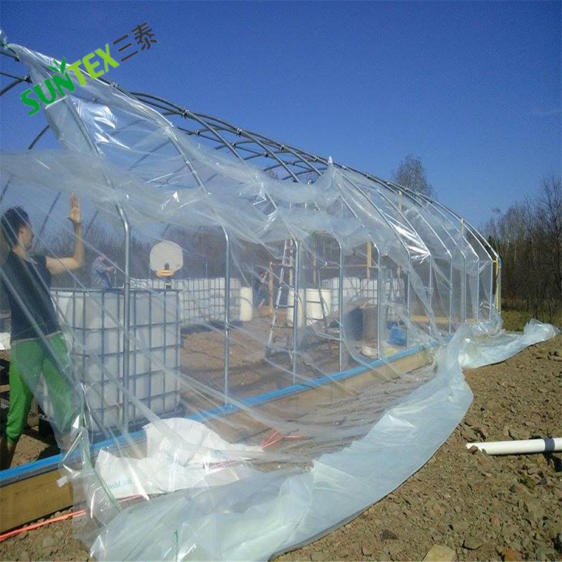 Need the Perfect Greenhouse Conditions. Discover the Secrets to Conquering Your Greenhouse Weather