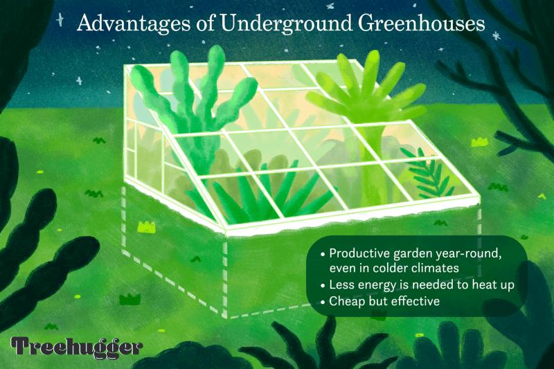 Need the Perfect Greenhouse Conditions. Discover the Secrets to Conquering Your Greenhouse Weather